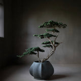 Arket Plant Pot, Medio - Dark Grey