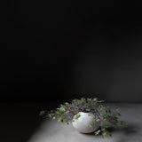Sunao Vase Fat, Mini - Birch