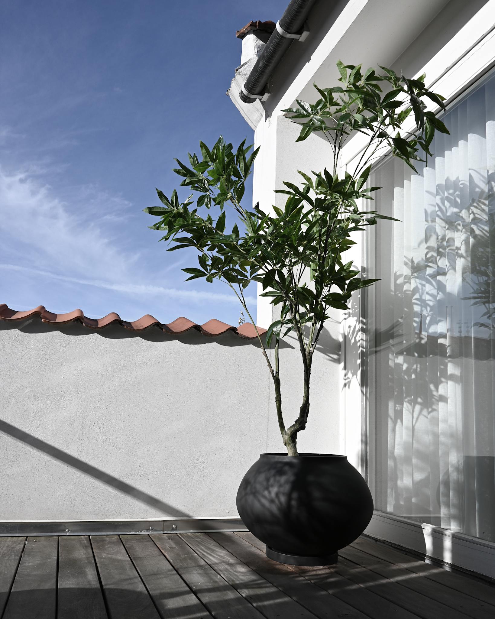 101 Copenhagen - Sunao Plant Pot Fat, Hexa - Black - Plant Pot