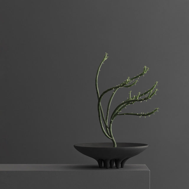 101 Copenhagen Medusa Tray with exotic botanical arrangement by Bosque