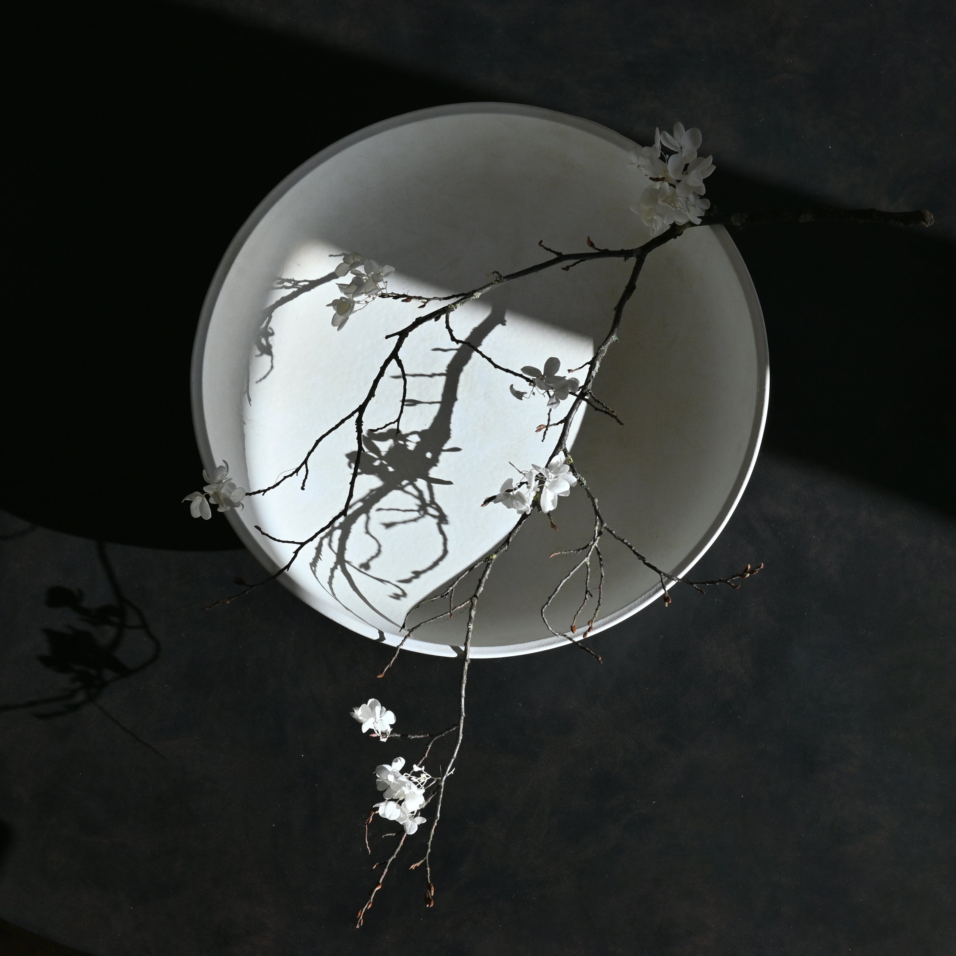 101 Copenhagen Baburu Bowl with a branch with white flowers