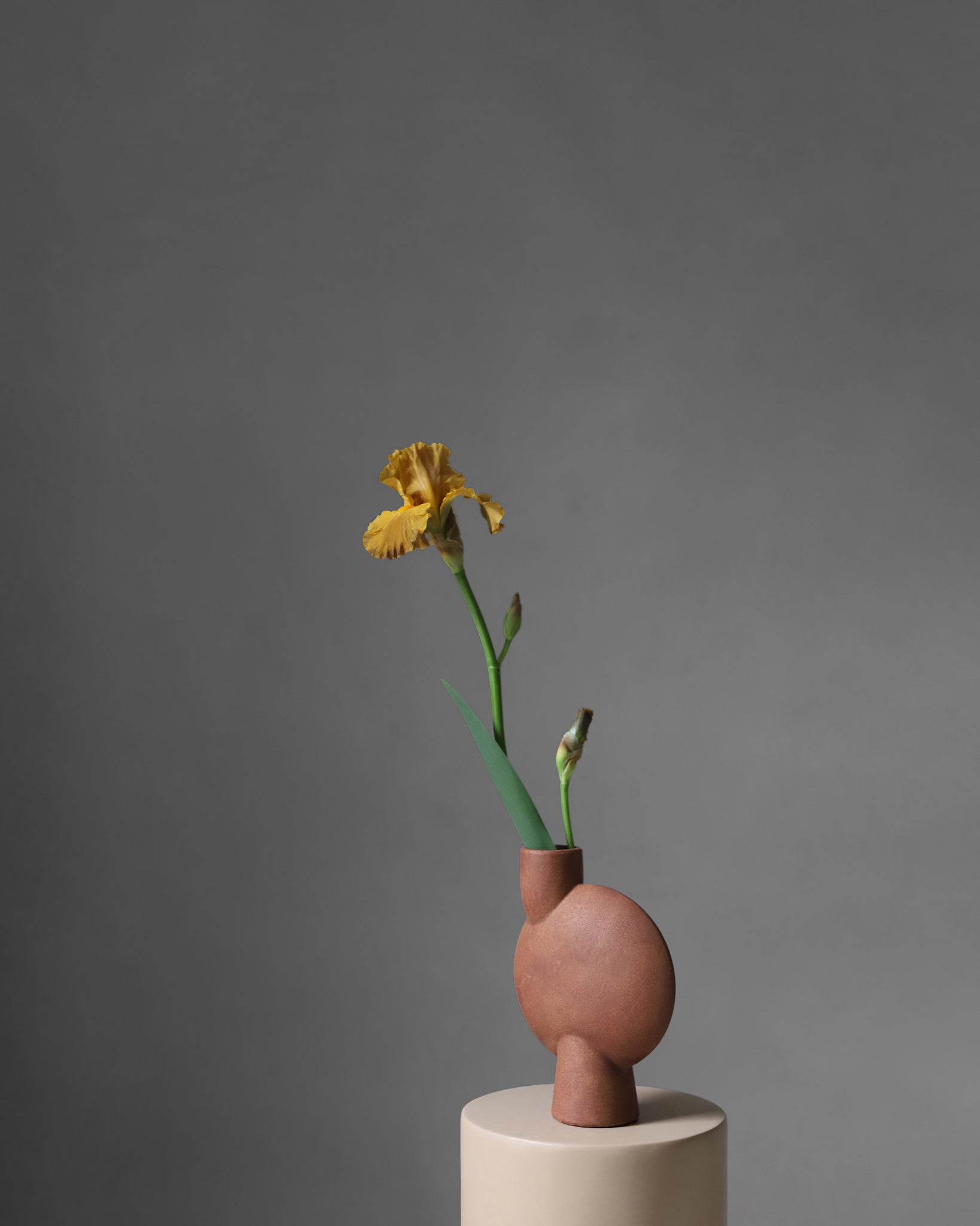 101 Copenhagen - Sphere Vase Bubl, Medio -Terracotta - Vase