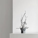 101 Copenhagen - Osaka Bowl, Mini - Light Grey - Archive