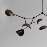 101 Copenhagen - Stingray Chandelier, Grande - Bronze (5m) - Chandelier
