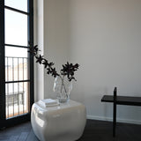 101 Copenhagen - Ishi Coffee Table, Medio - High Glaze Birch - Coffee Table