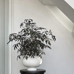 101 Copenhagen - Kabin Vase, Fat - Bone White - Vase