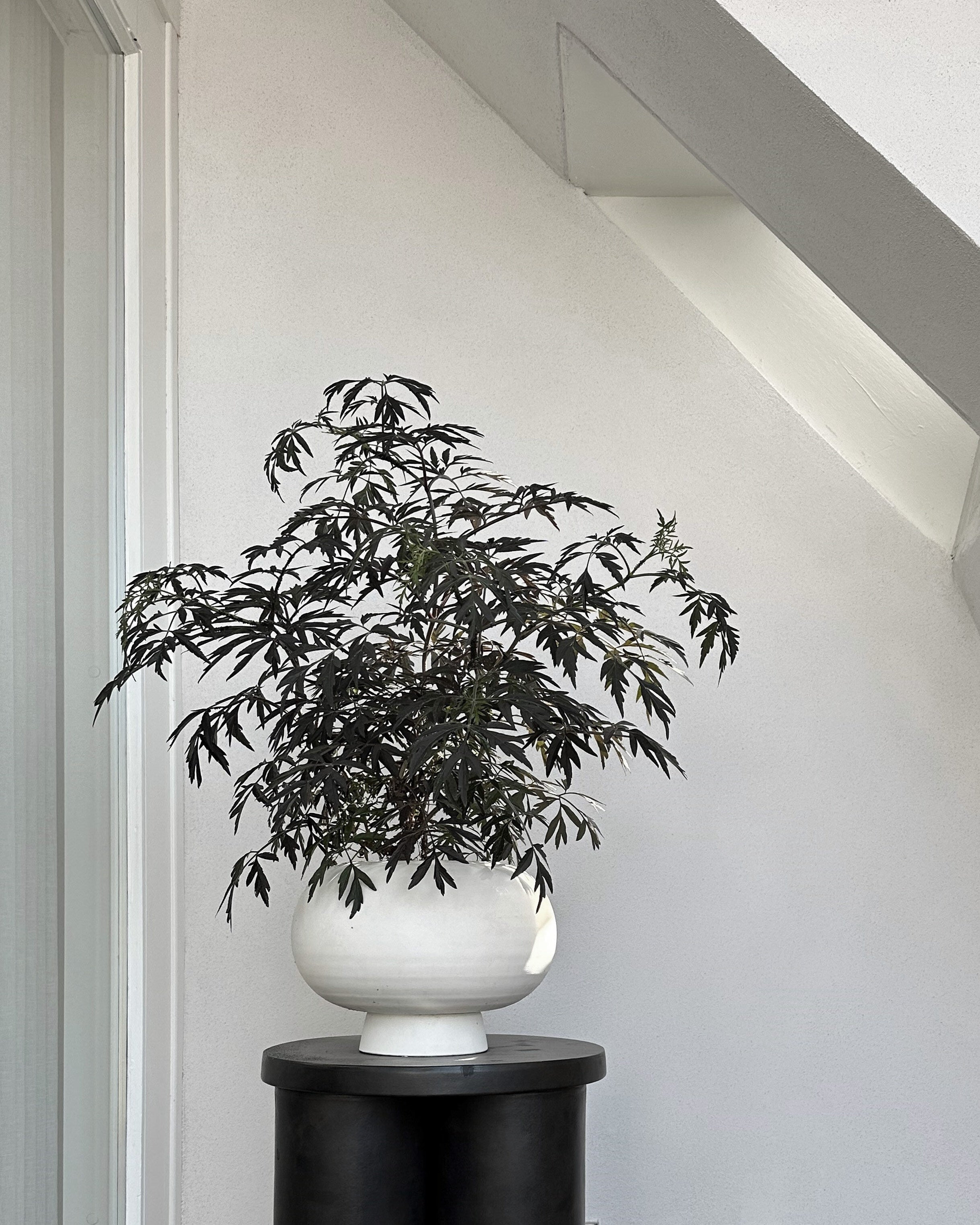 101 Copenhagen - Kabin Vase, Fat - Bone White - Vase