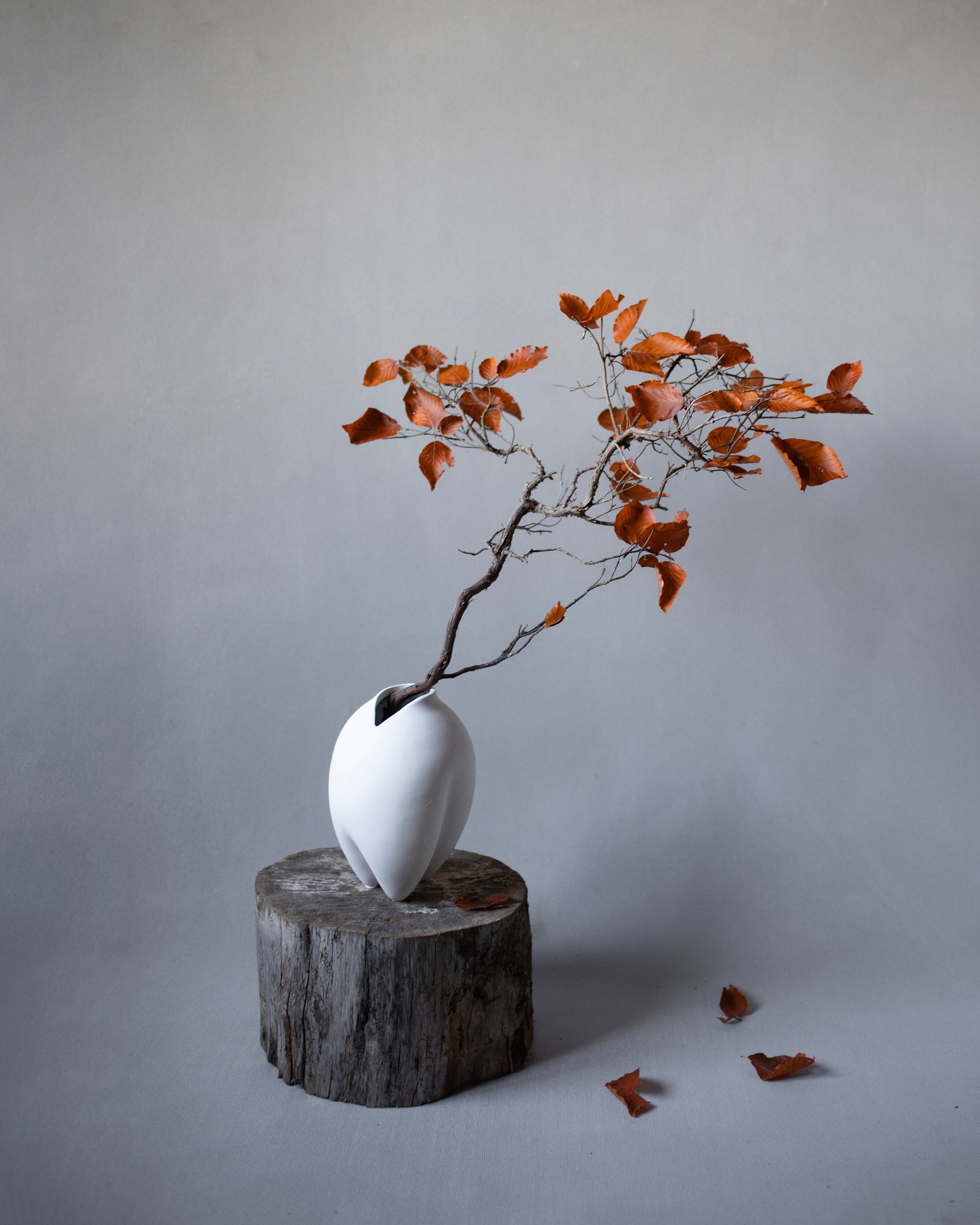 101 Copenhagen - Sumo Vase, Slim Petit - Bone White - Vase