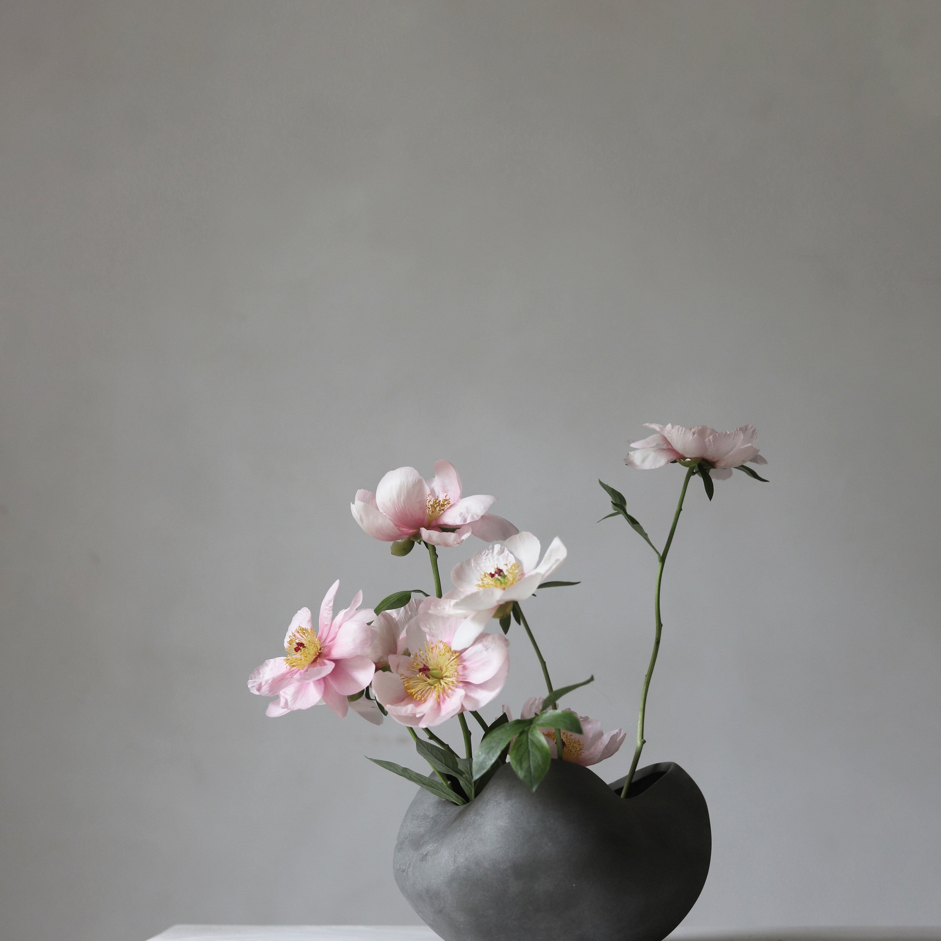 101 Copenhagen - Curve Bowl, Big - Dark Grey - Bowl