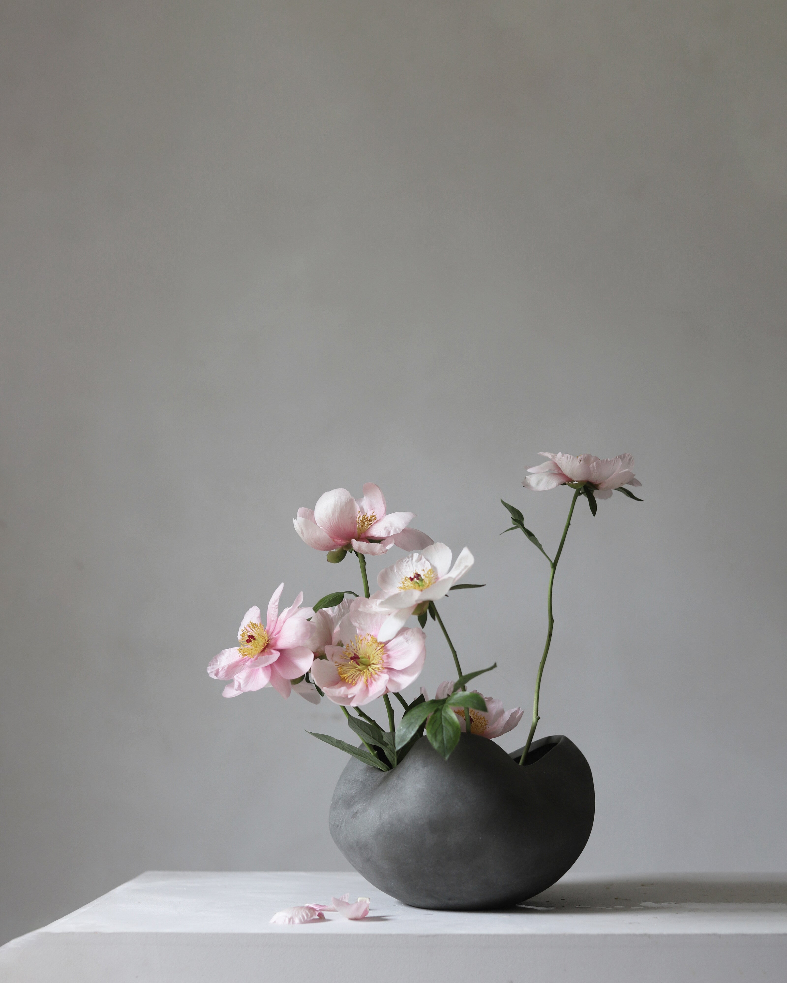 101 Copenhagen - Curve Bowl, Big - Dark Grey - Bowl