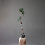 101 Copenhagen - Curve Bowl, Mini - Dark Grey - Bowl