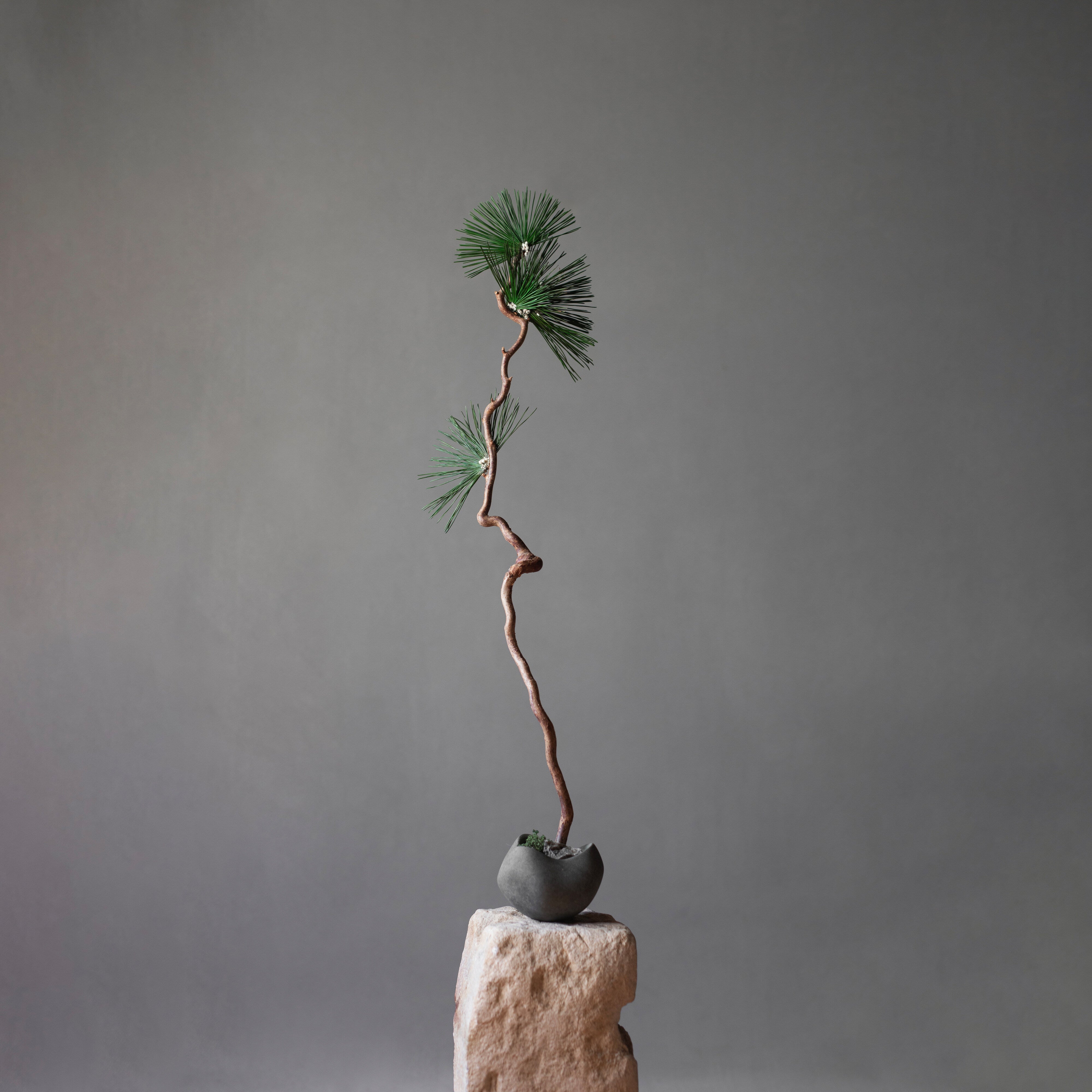 101 Copenhagen - Curve Bowl, Mini - Dark Grey - Bowl