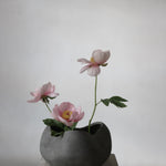 101 Copenhagen - Curve Bowl, Big - Dark Grey - Bowl