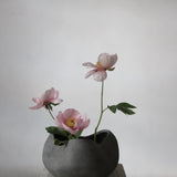 101 Copenhagen - Curve Bowl, Big - Dark Grey - Bowl