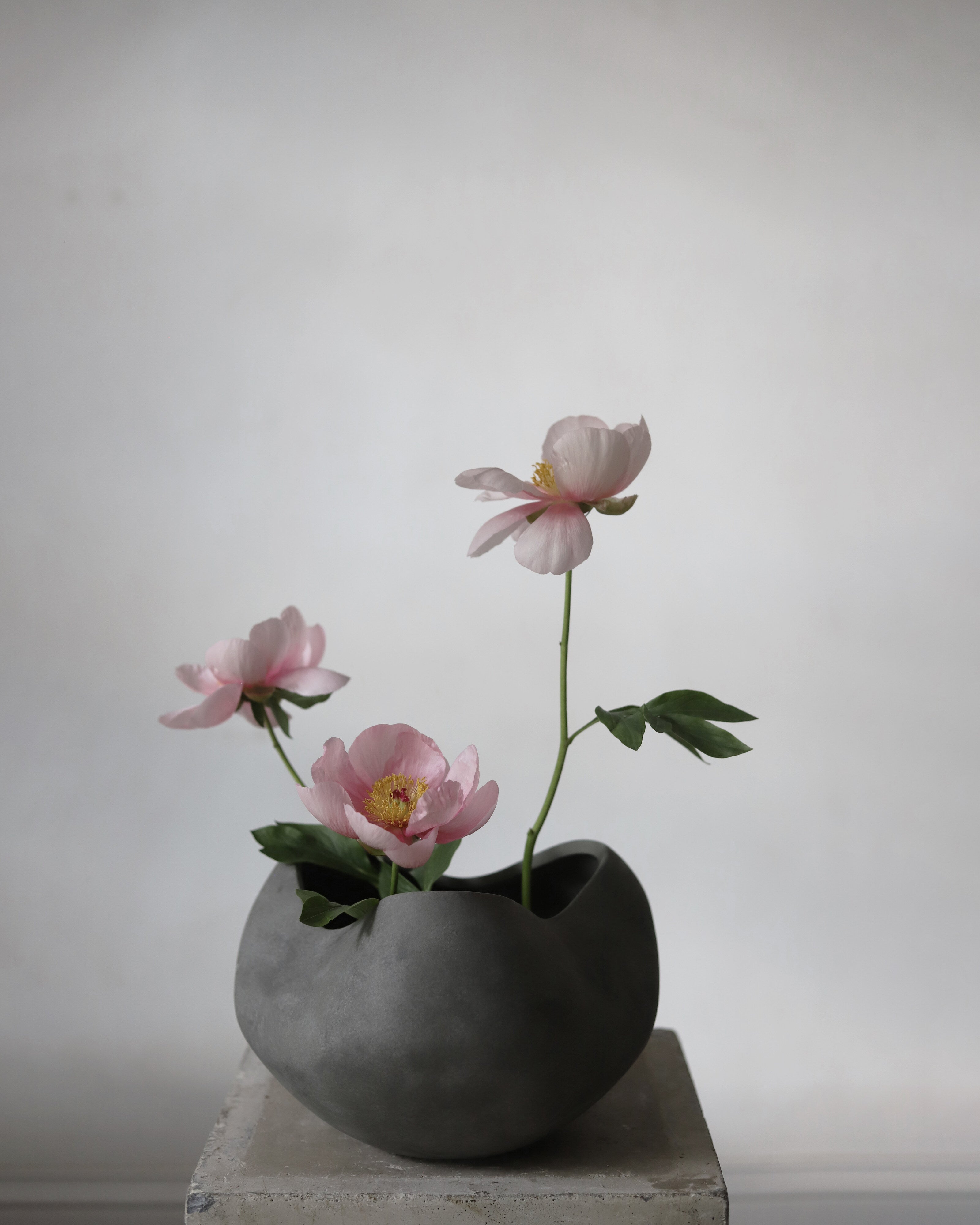 101 Copenhagen - Curve Bowl, Big - Dark Grey - Bowl