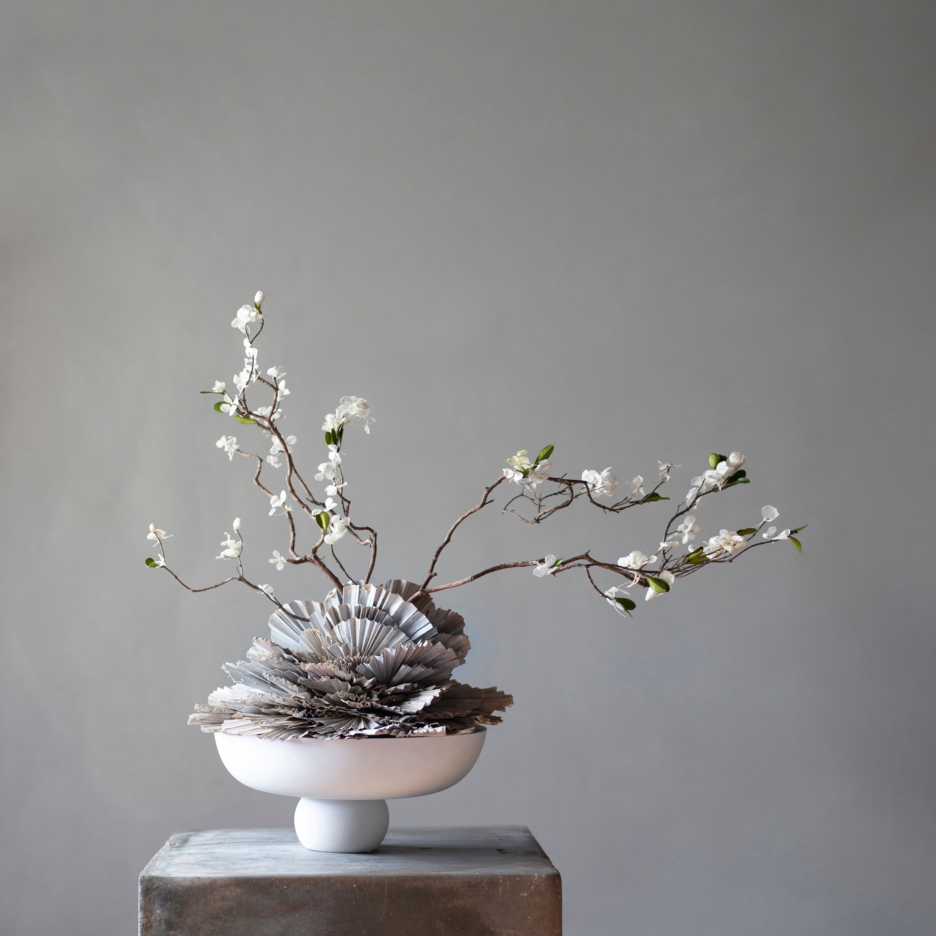 101 Copenhagen - Baburu Bowl, Medio - Bone White - Bowl