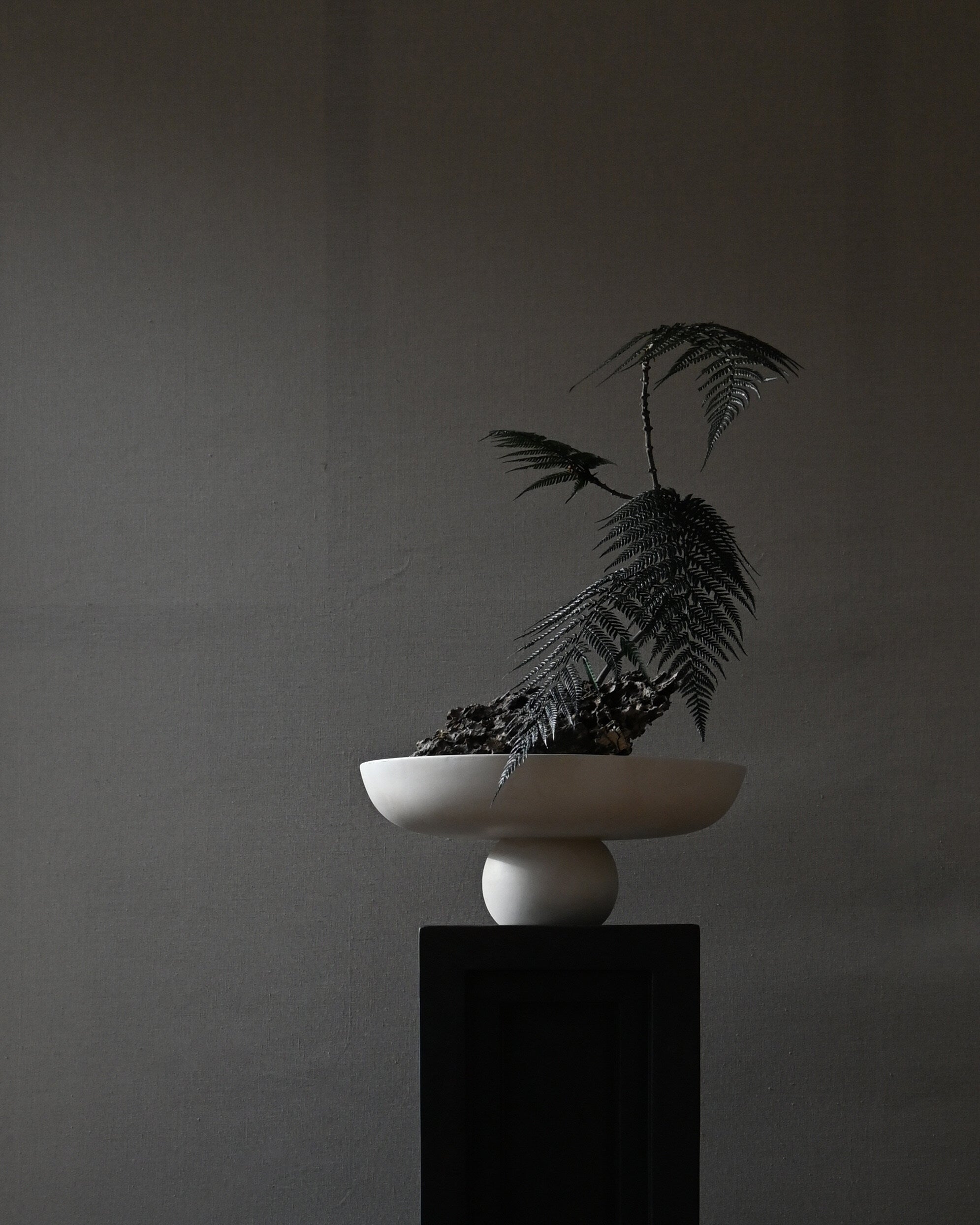 101 Copenhagen - Baburu Bowl, Big - Birch - Bowl