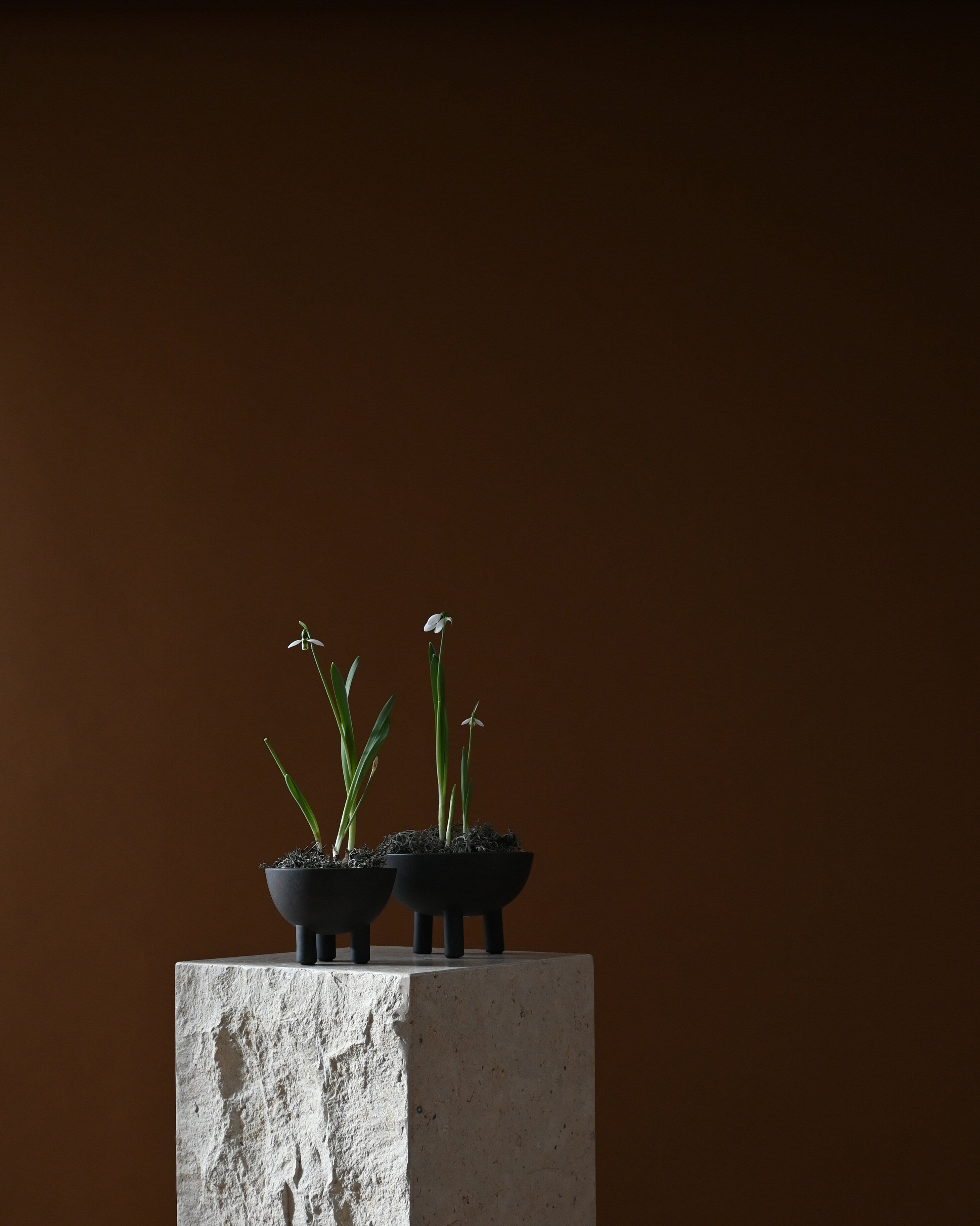 Duck Bowl, Big - Coffee | Ceramic | 101 Copenhagen