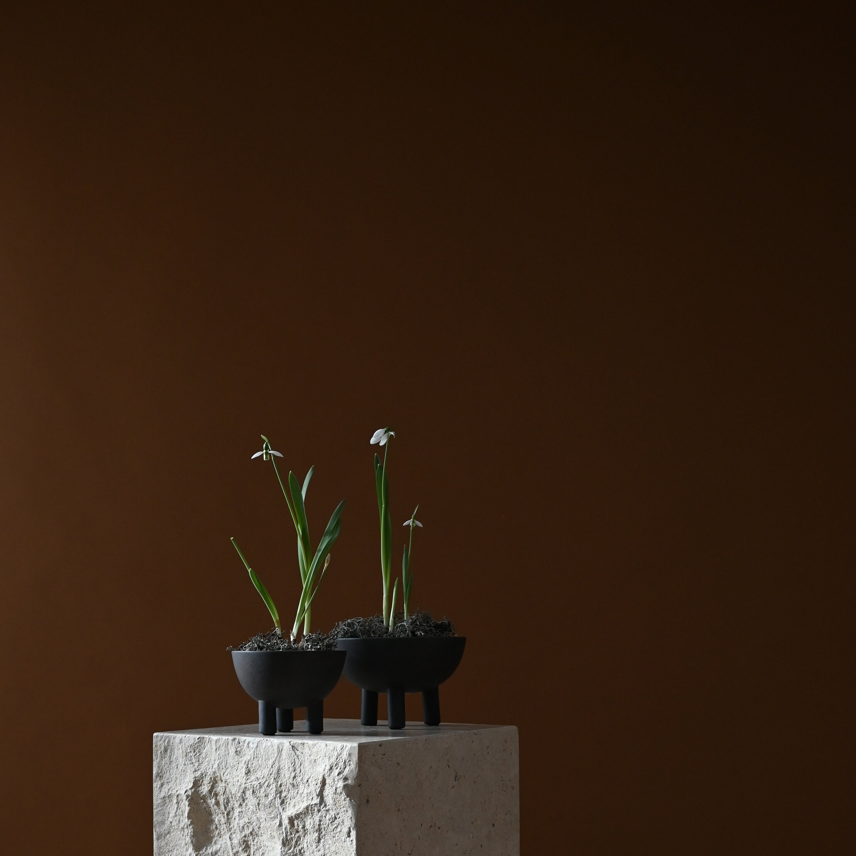 101 Copenhagen - Duck Bowl, Big - Coffee - Bowl