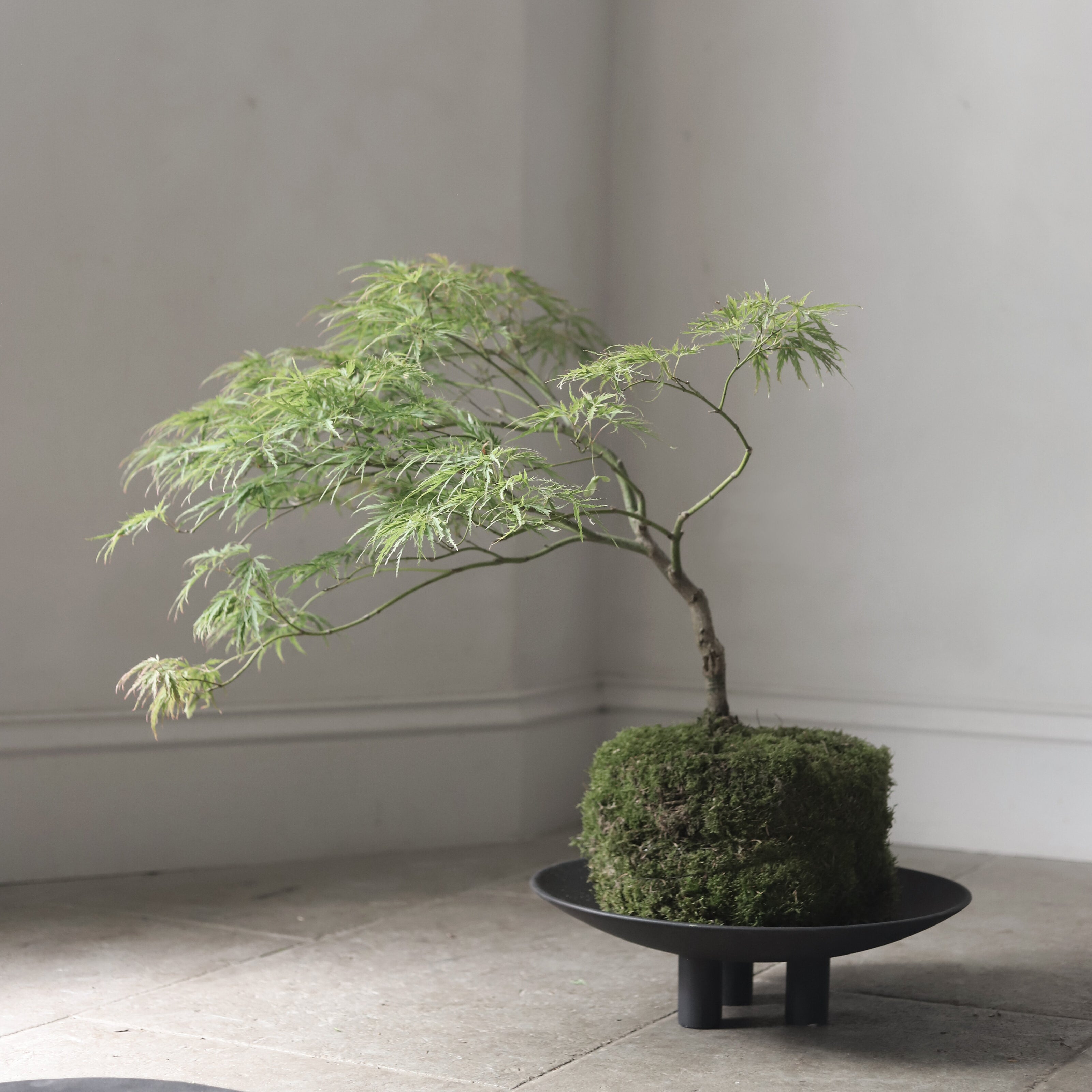 101 Copenhagen - Duck Plate, Big - Coffee - Tray