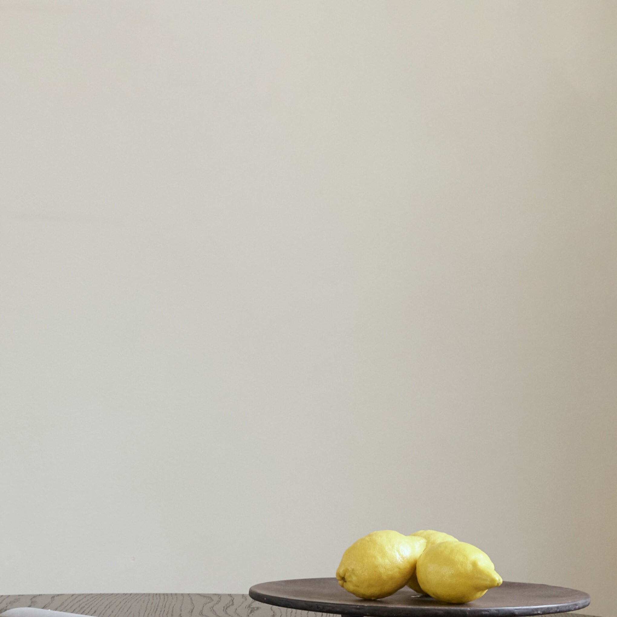 101 Copenhagen - Duck Tray, Small - Coffee - Tray