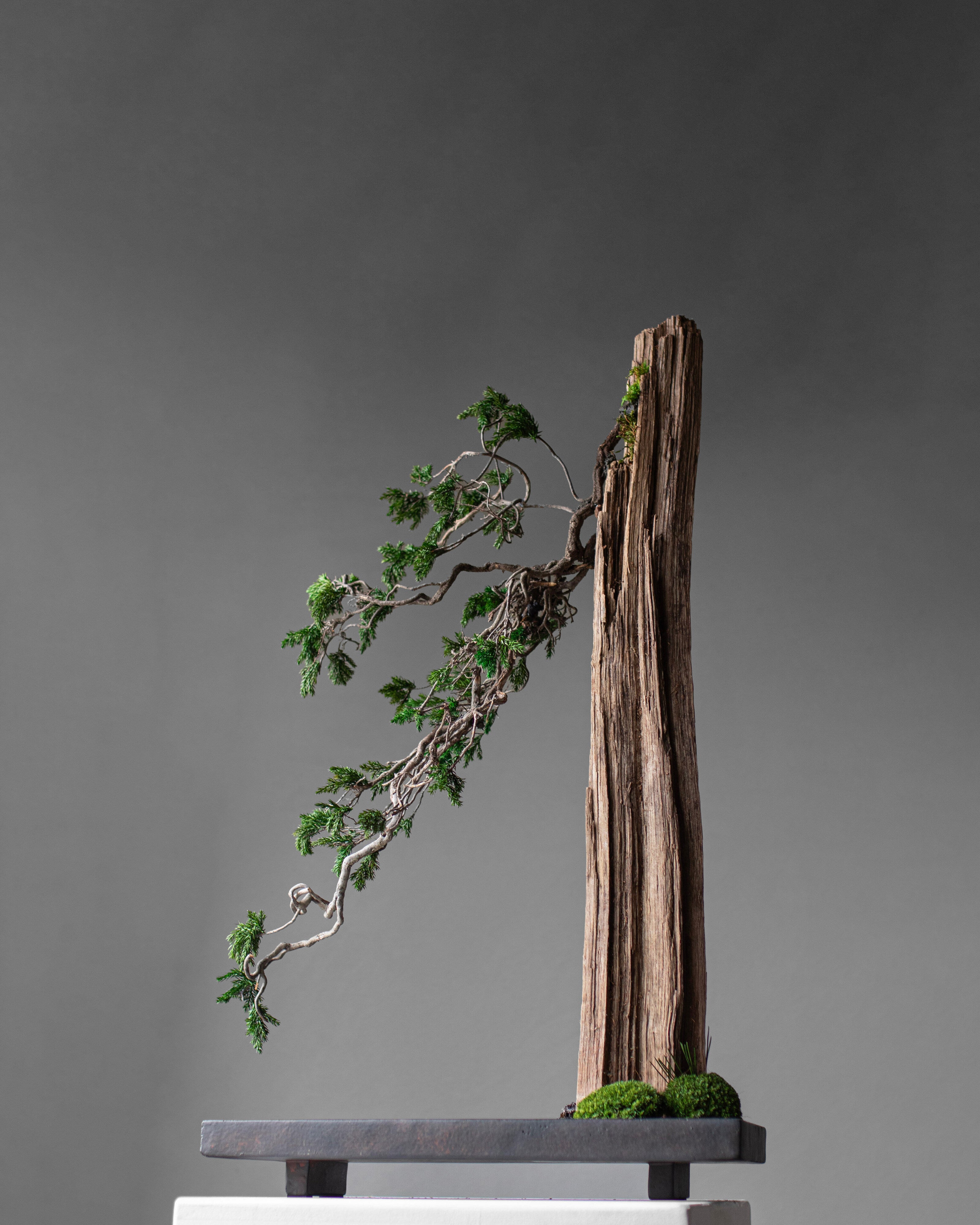 101 Copenhagen - Oka Tray - Coffee - Tray