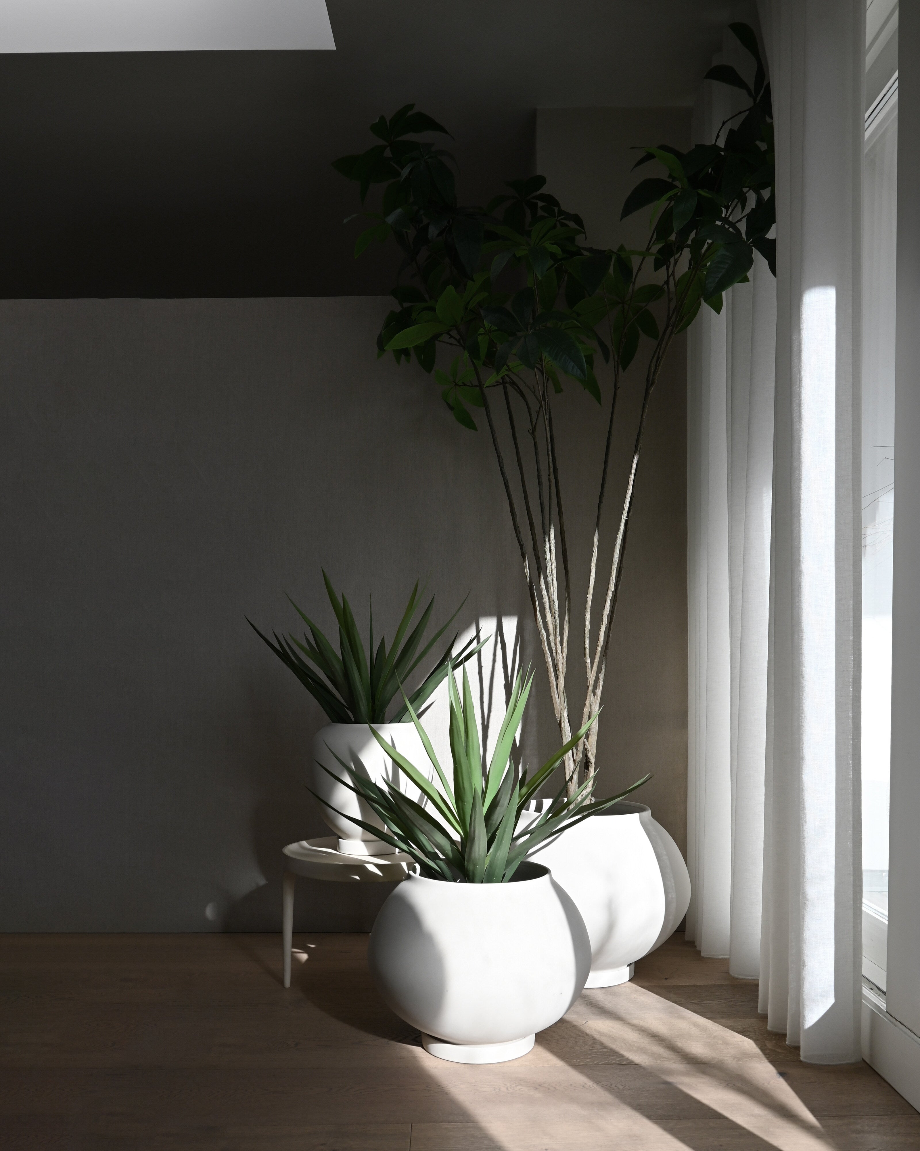 101 Copenhagen - Sunao Plant Pot Fat, Big - Birch - Plant Pot