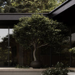 101 Copenhagen - Urchin Plant Pot, Big - Coffee - Plant Pot