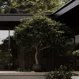 101 Copenhagen - Urchin Plant Pot, Big - Coffee - Plant Pot