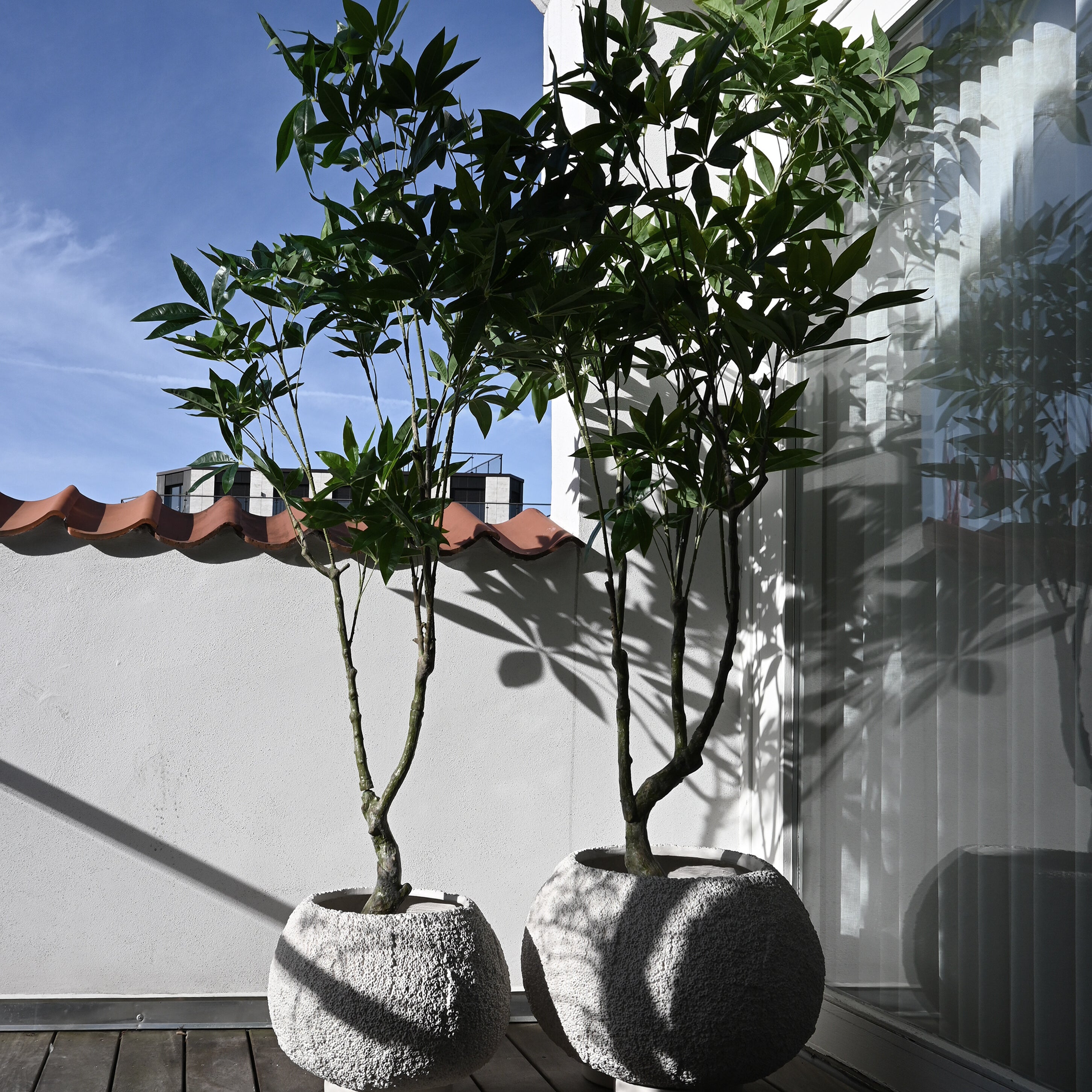 101 Copenhagen - Urchin Plant Pot, Medio - Beehive - Plant Pot