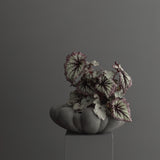 101 Copenhagen - Bloom Tray, Big - Dark Grey - Tray