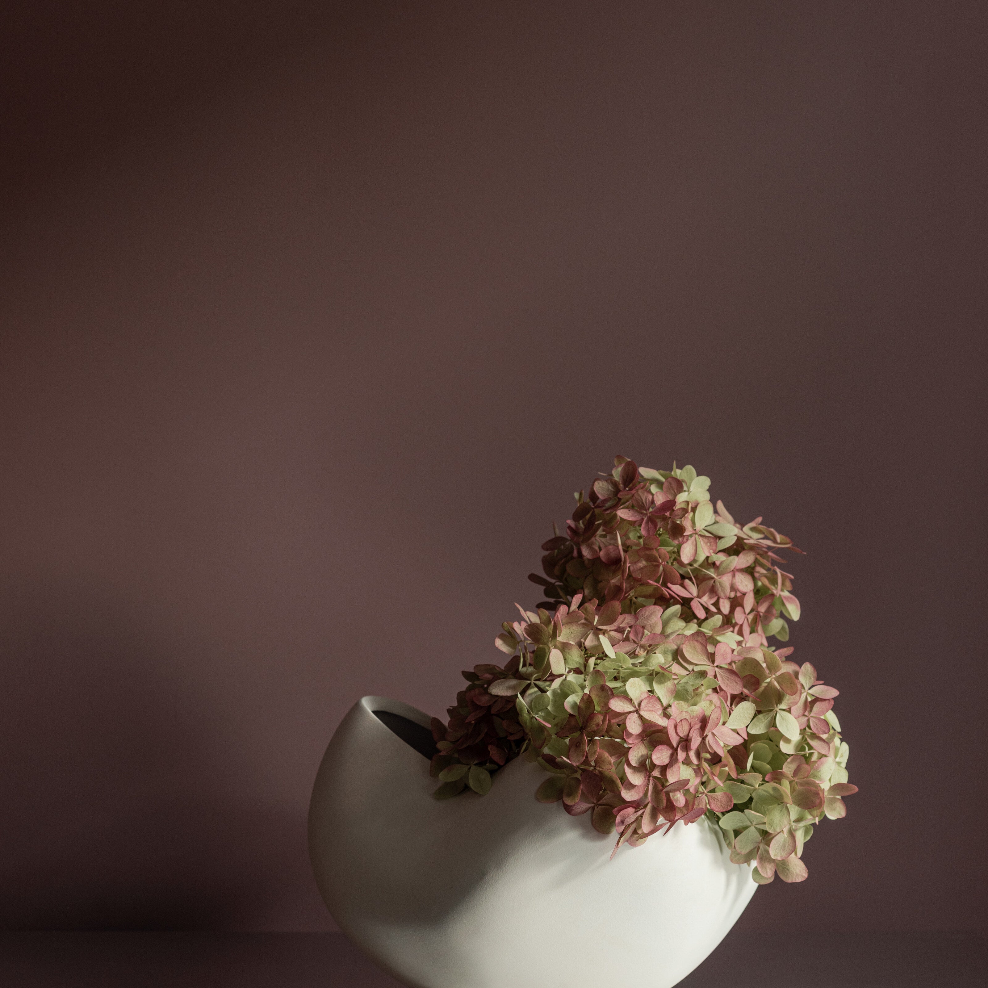 101 Copenhagen - Curve Bowl, Big - Bone White - Bowl