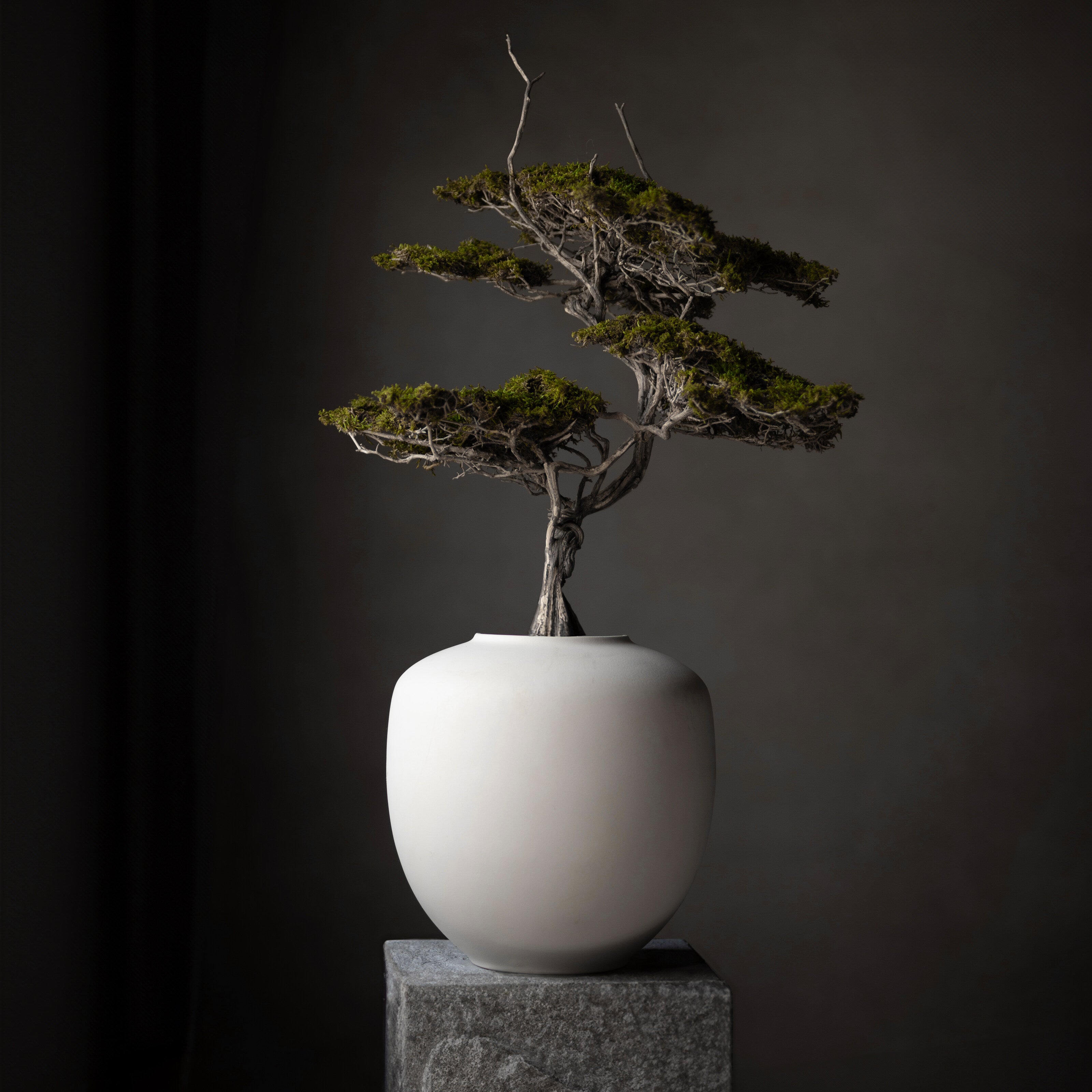 101 Copenhagen - Sunao Vase, Medio - Birch - Vase