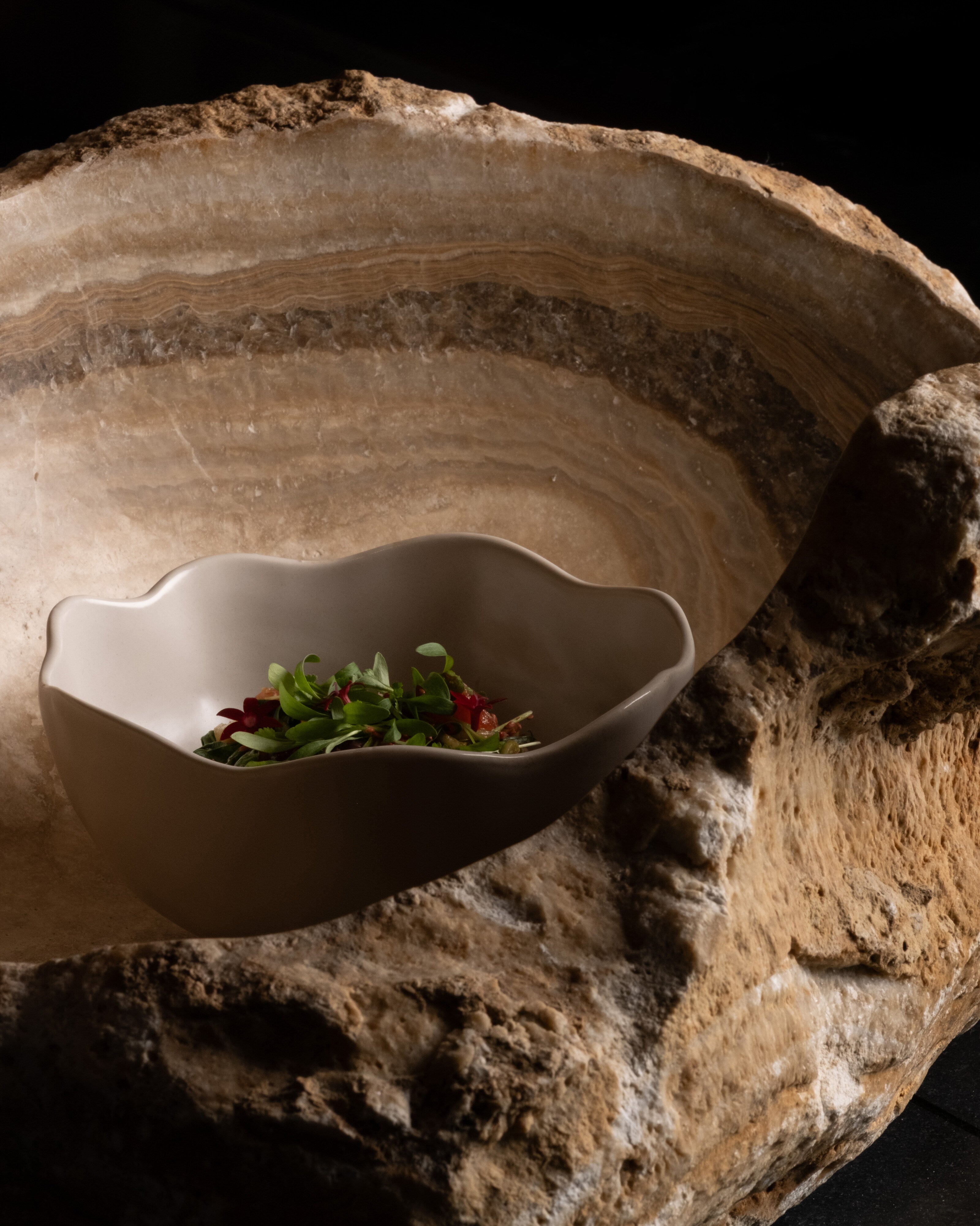 101 Copenhagen - Native Bowl, Medio - Birch - Bowl