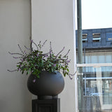 101 Copenhagen - Urchin Plant Pot, Medio - Coffee - Plant Pot