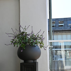 Urchin Plant Pot, Medio - Coffee