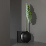 Offset Vase, Big - Coffee
