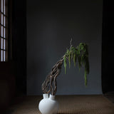 Sumo Vase, Horns - Bone White