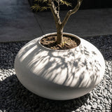 Sunao Plant Pot, Ellipse, Giant  - Birch