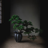 Lotus Vase, Mini - Coffee