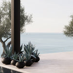 101 Copenhagen - Urchin Plant Pot, Mini - Coffee - Outdoor