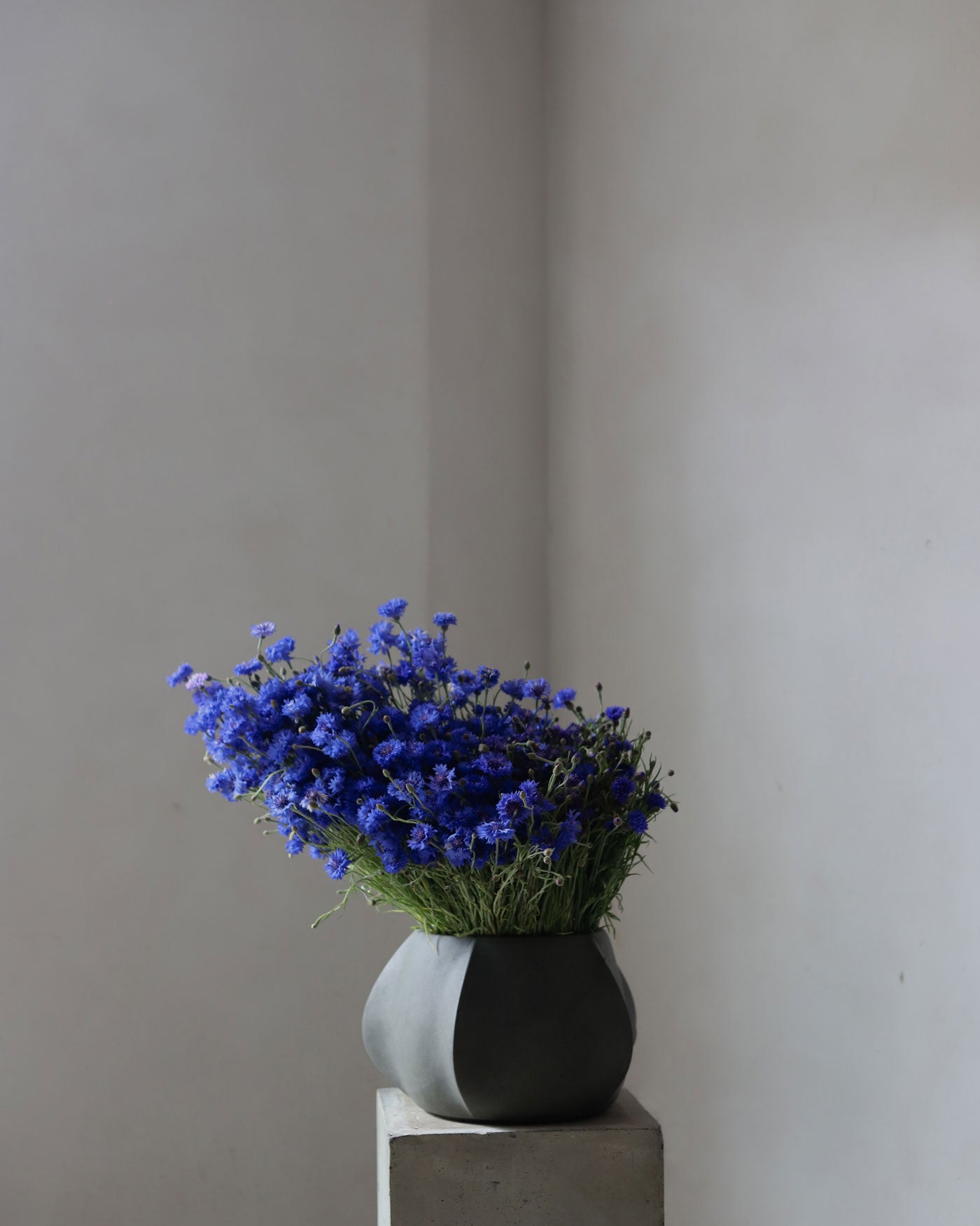 Arket plant pot mini with blue flowers