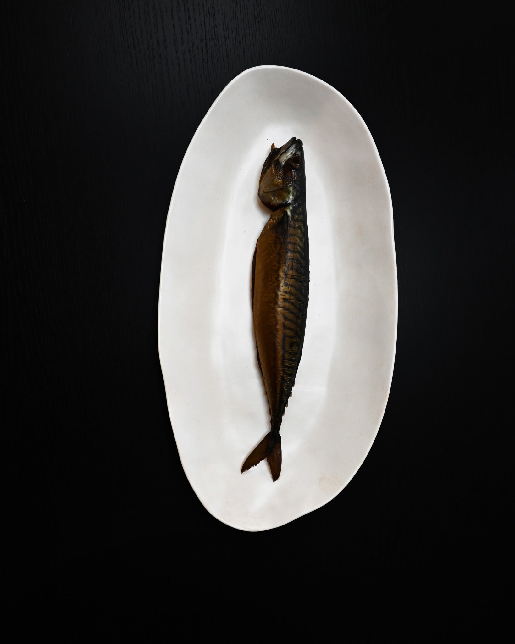 101 Copenhagen Native Oval Tray, Big with Fish
