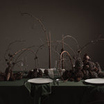 101 Copenhagen - Native Dinner Plate - Birch - Plate