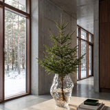 Katachi Vase, Big - Clear