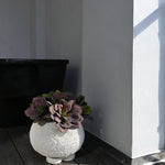 101 Copenhagen - Urchin Plant Pot, Mini - Beehive - Outdoor