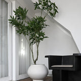 Sunao Plant Pot Fat, Hexa - Birch
