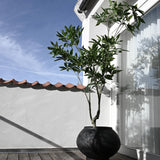 Sunao Plant Pot Fat, Hexa - Black