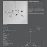 Stingray Chandelier - Chrome (5m)