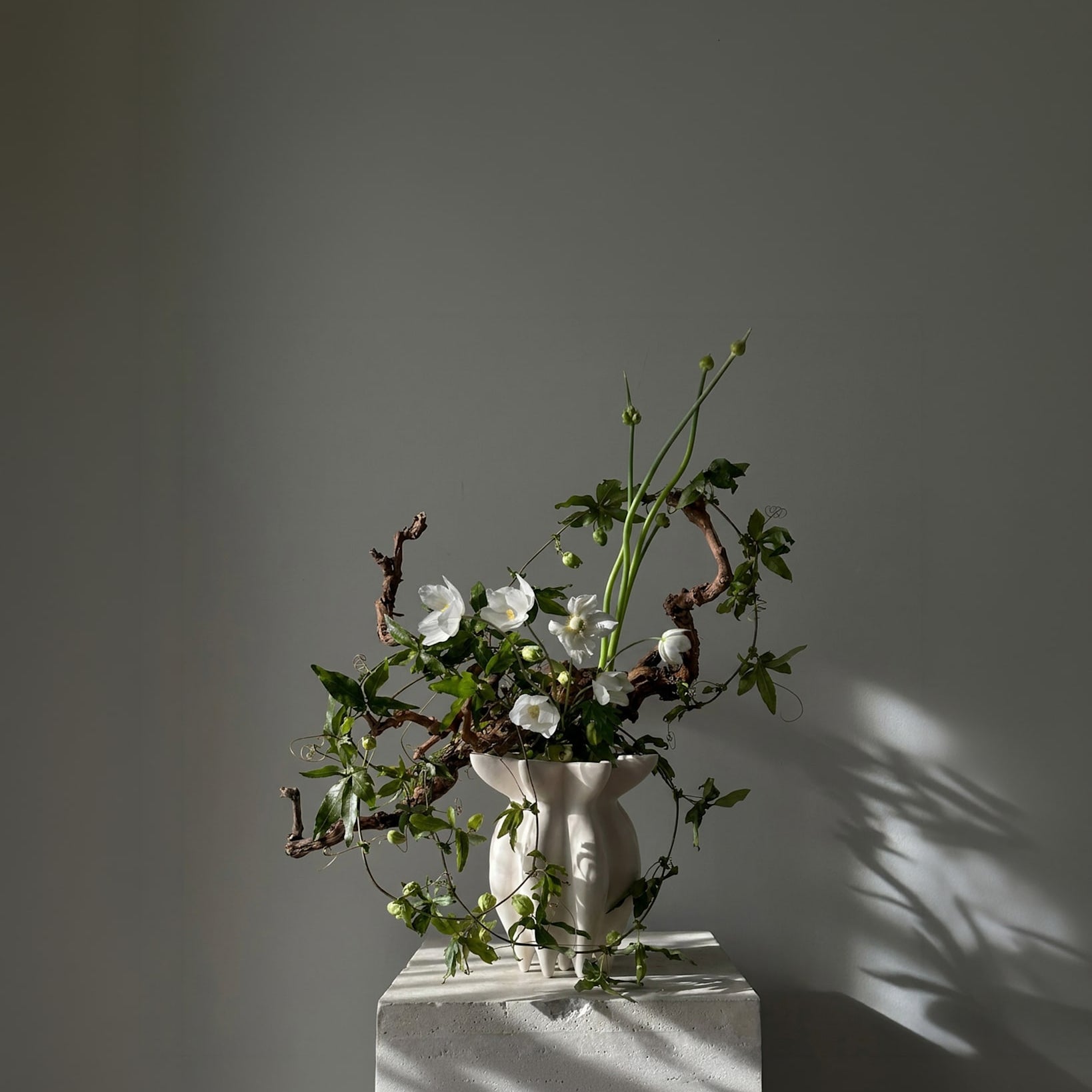 Lotus Vase, Petit - Birch